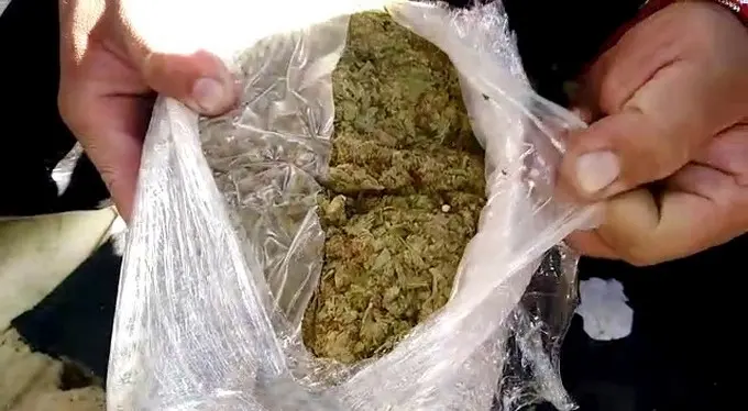 Cuatro detenidos por incautación de drogas y rapiña a repartidor con recuperación de vehículo