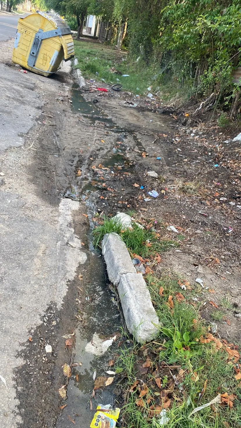 Edila Rocío Chiruchi expuso reclamos por calles deterioradas, riesgos viales y problemas ambientales