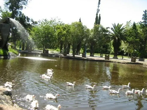 Encuentro anual de Mercociudades abordará la biodiversidad urbana con foco en infraestructura verde
