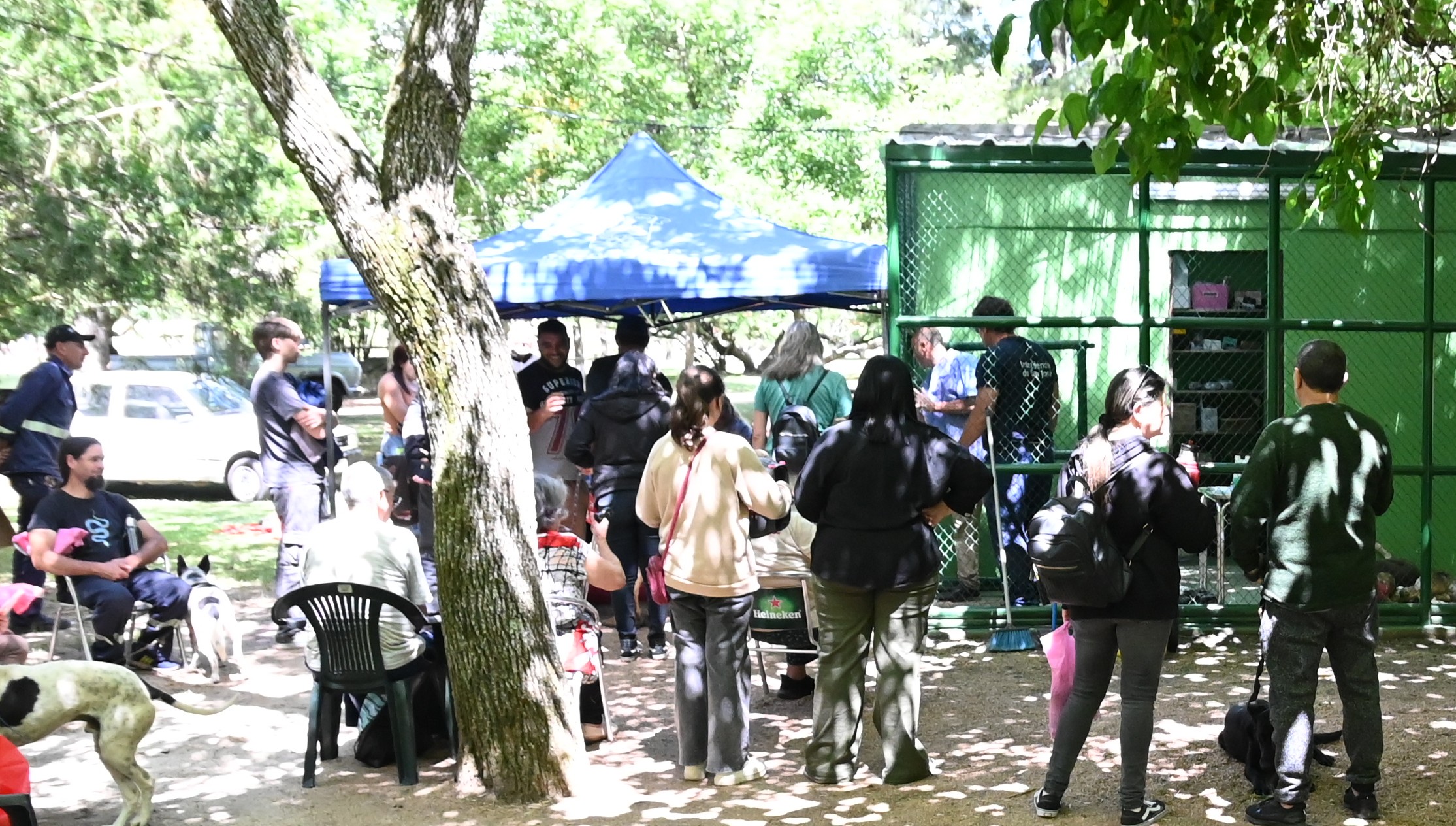 Más de 30 perros ya encontraron hogar y 12 siguen en el albergue del ex zoológico