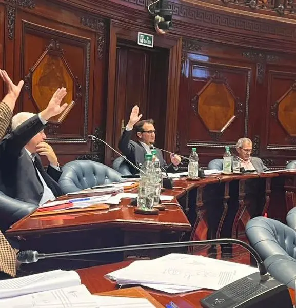 Mesa ocupó banca en el Senado y valoró la aprobación de la Ley de Promoción de Empleo Integral