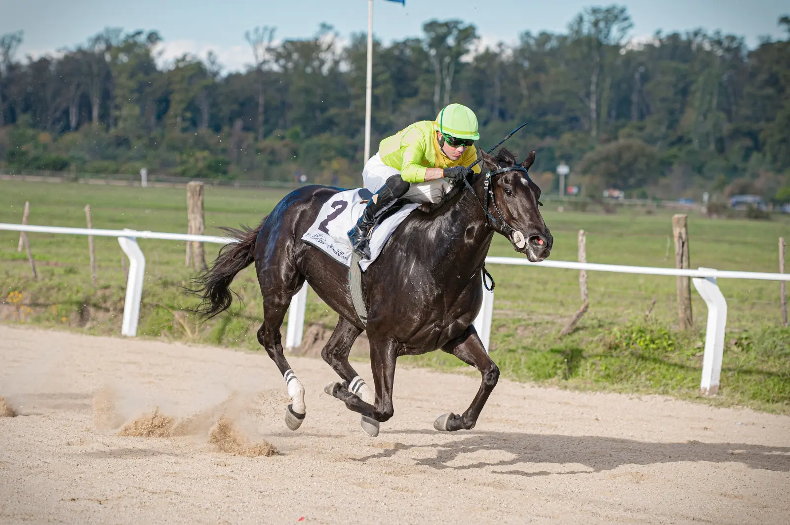 Stormy Gone de San José fue la ganadora del clásico de potrillos