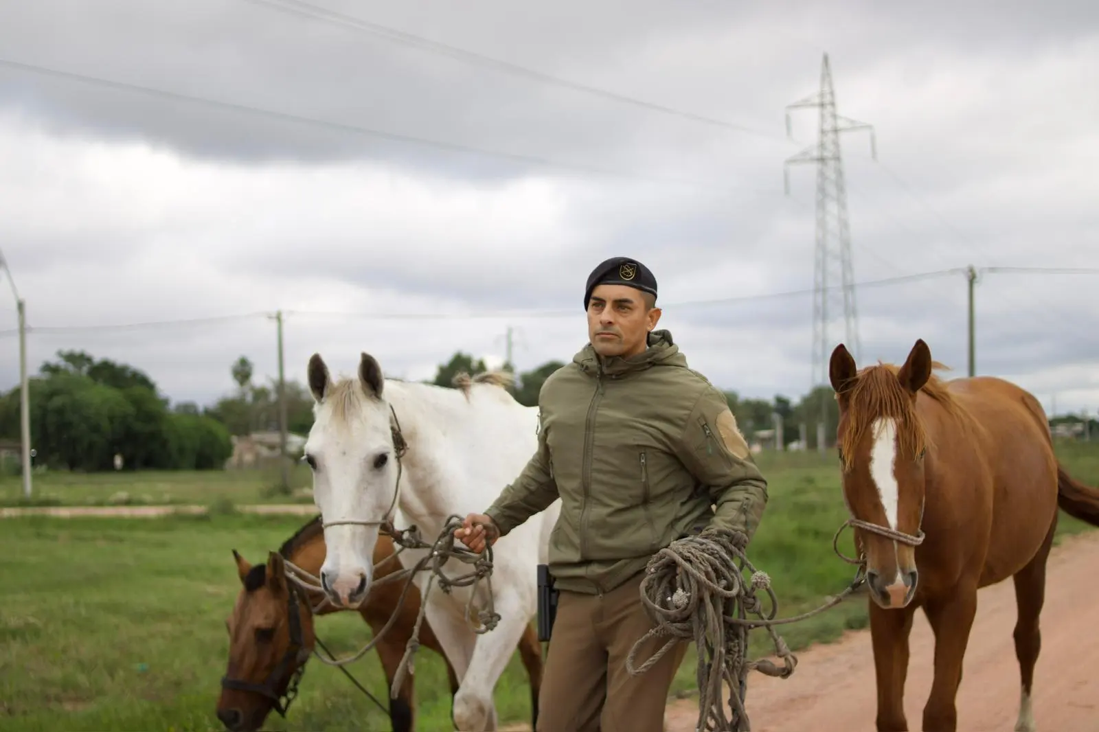 Municipio de CDP confirmó el retorno de los equinos retirados de la vía pública en abril