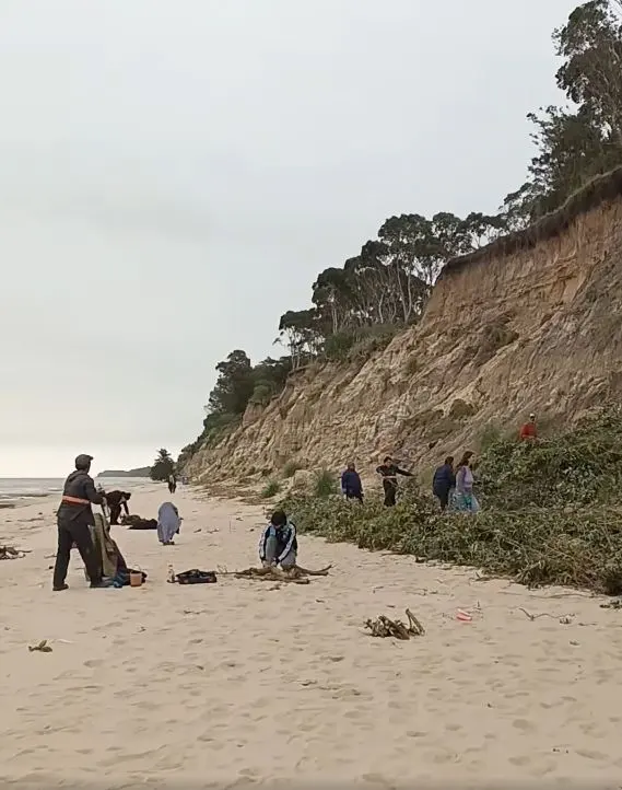 Vecinos de Kiyú impulsan la colocación de cercas captoras para preservar la costa