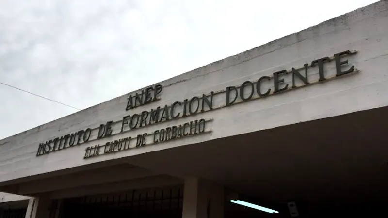 Profesores del IFD rechazan clases virtuales y cuestionan el plan de titulación