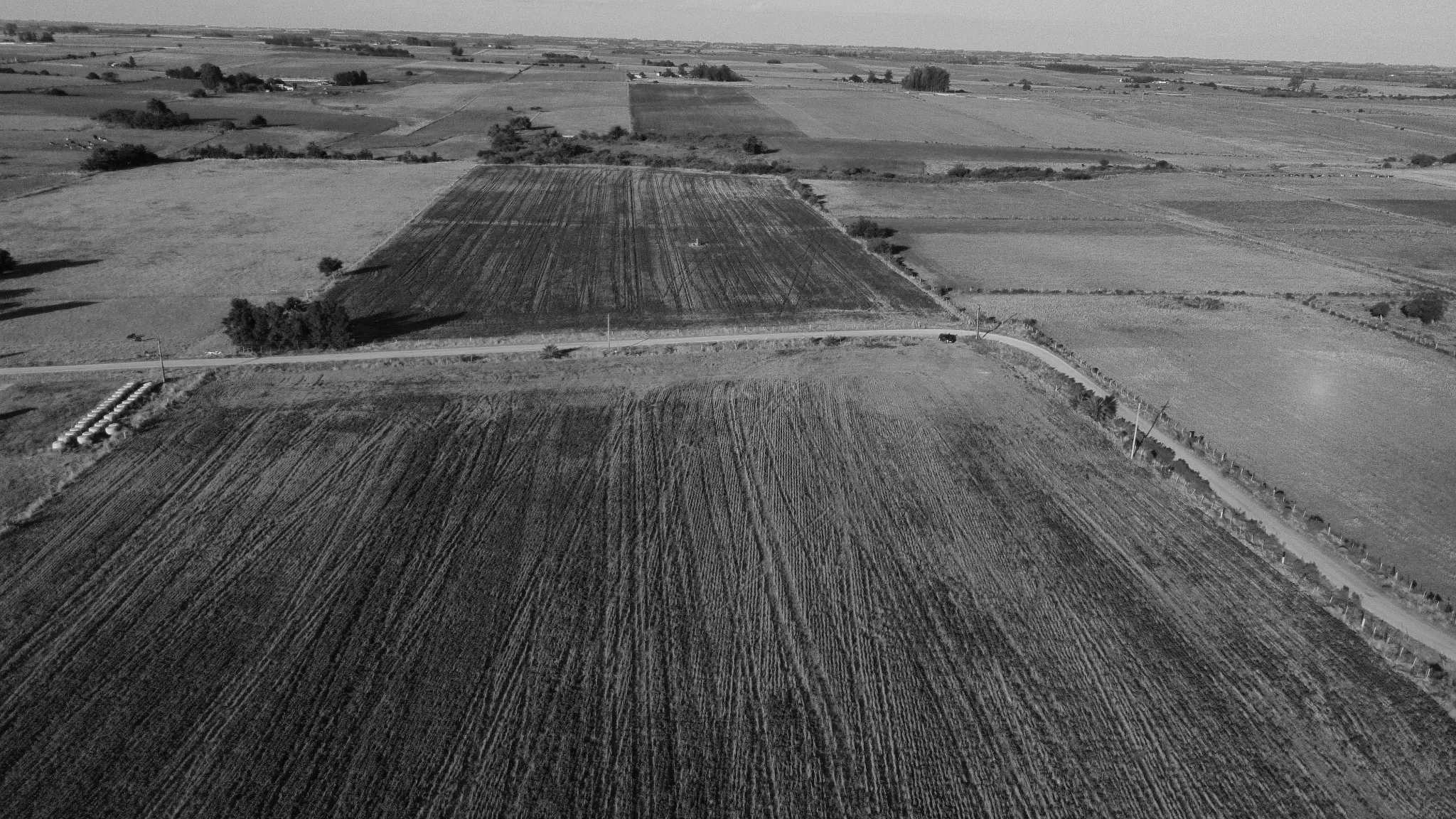 San José tuvo en 2025 uno de los precios de arrendamiento de campos más altos del país