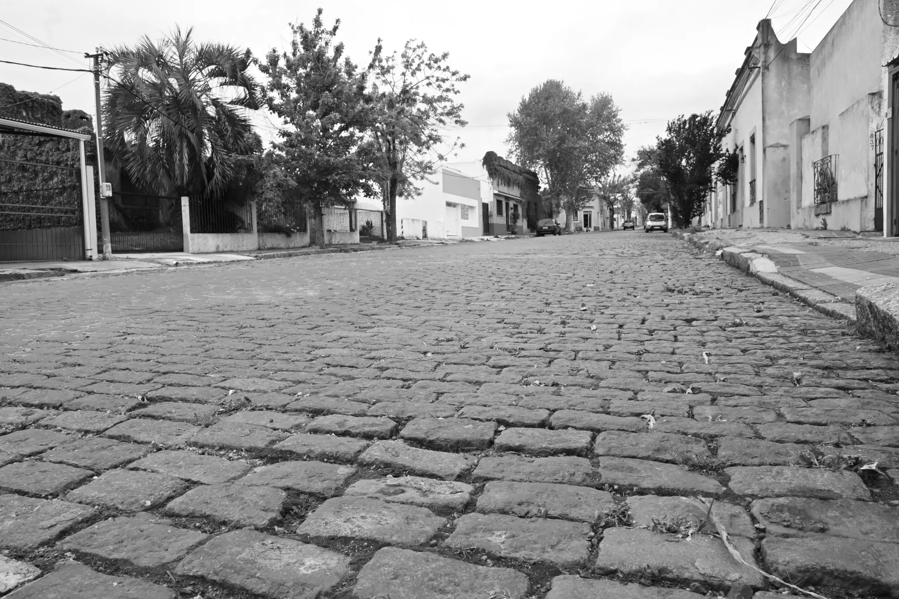 Empedrado de calle Espínola tendrá obras de remodelación tras años de reclamos por su deterioro